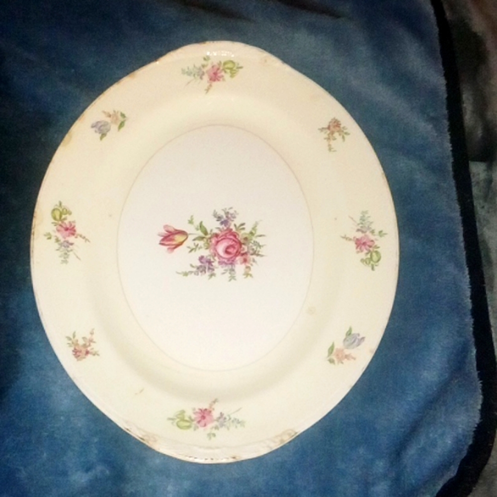 Household Institute PRISCILLA Eggshell Nautilus USA vintage China